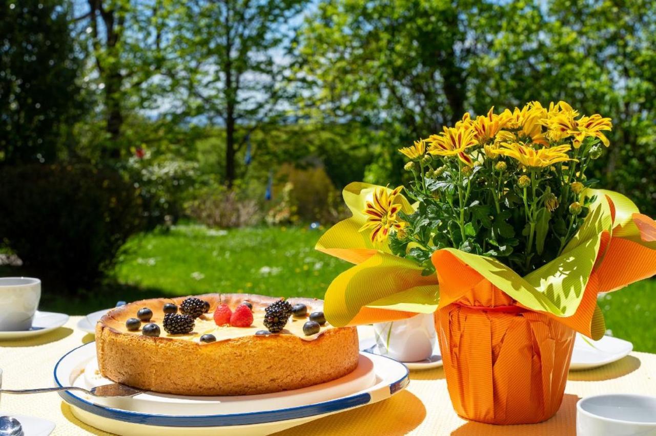 Ferienwohnungen Bauer - Auszeit Mit Ausblick Zenting Exterior photo