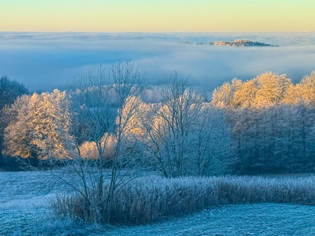 Ferienwohnungen Bauer - Auszeit Mit Ausblick Zenting Exterior photo